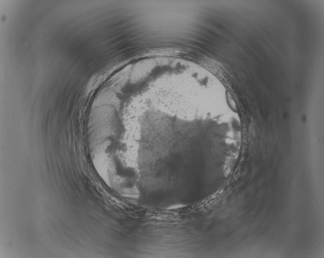 X0000062640337200601181750