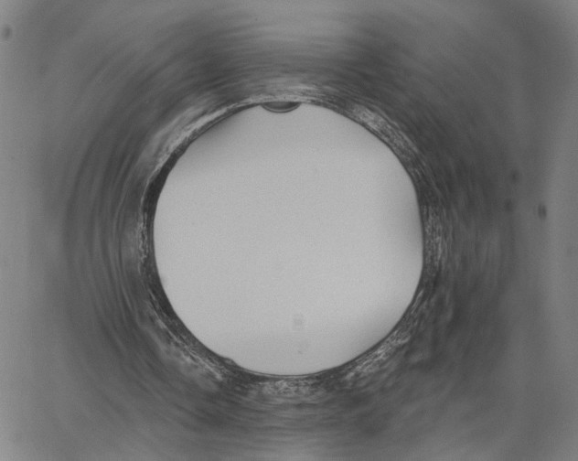 X0000062640338200601181750