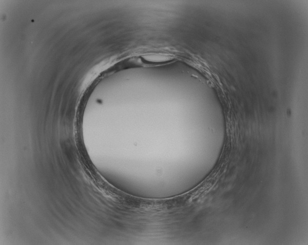 X0000062640340200601181750