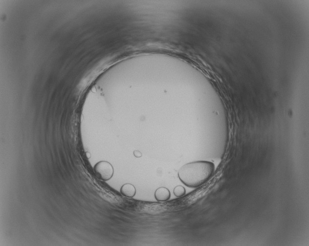 X0000062640341200601181750