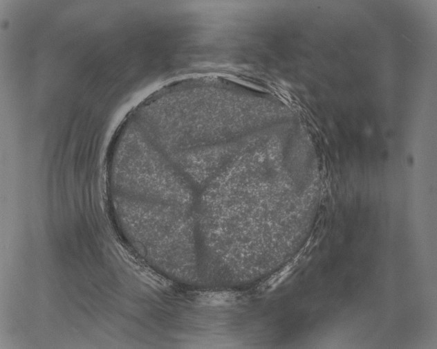 X0000062640342200601181750