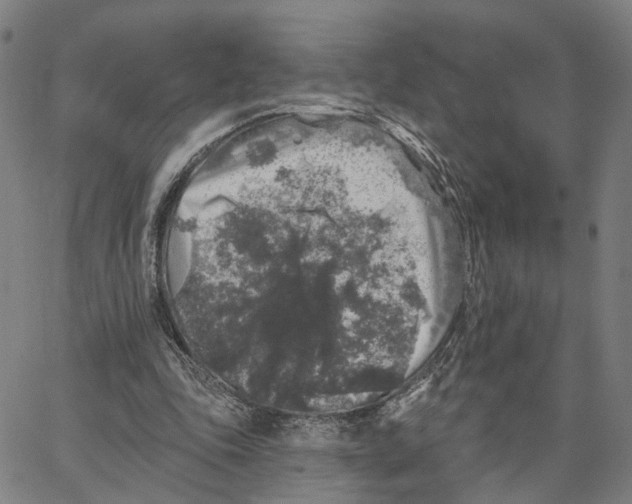 X0000062640343200601181750