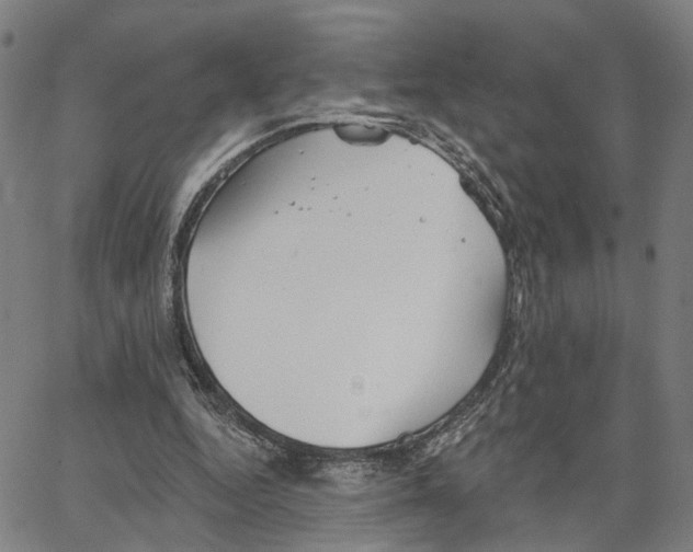 X0000062640344200601181750