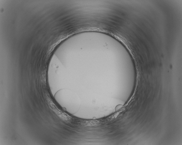 X0000062640345200601181750