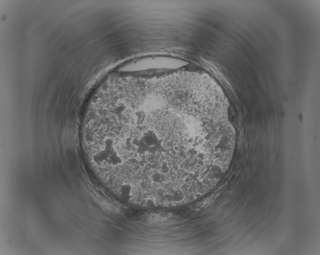 X0000062640346200601181750