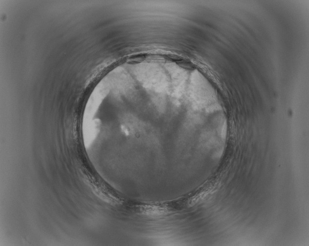 X0000062640347200601181750