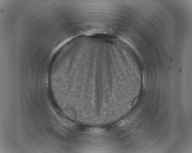 X0000062640348200601181750