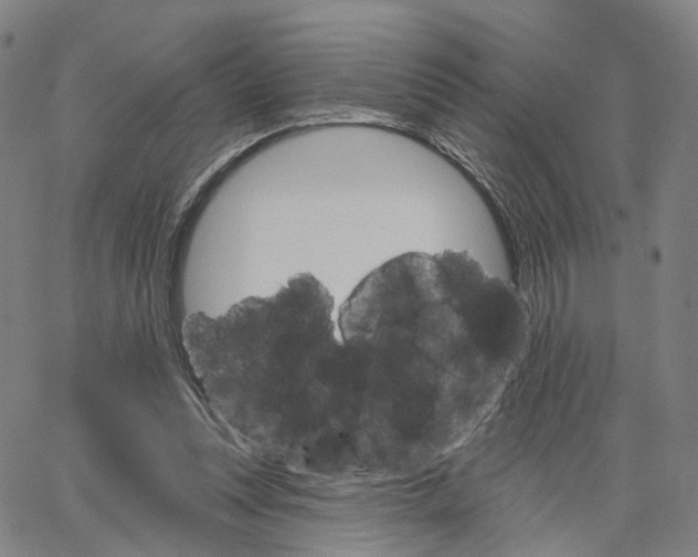 X0000062640351200601181750