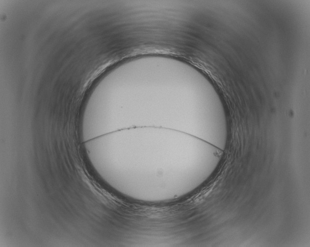 X0000062640352200601181750