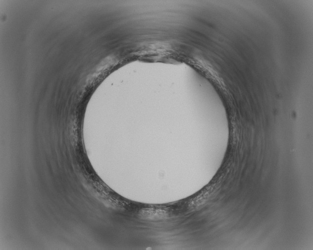 X0000062640354200601181750