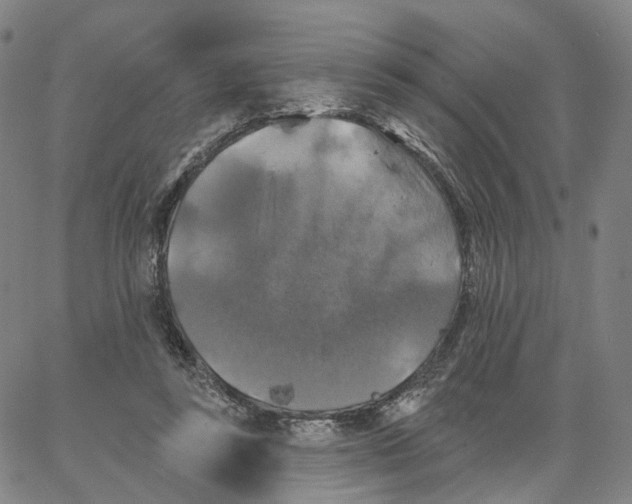 X0000062640355200601181750