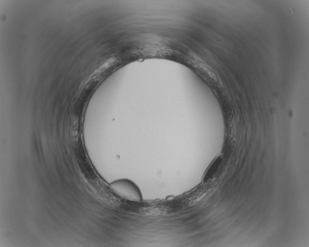 X0000062640356200601181750