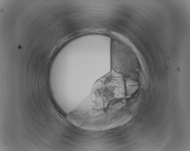 X0000062640357200601181750