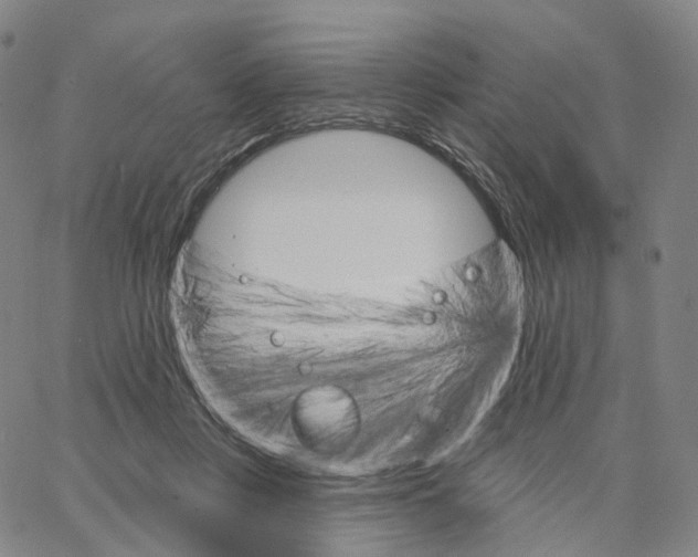 X0000062640359200601181750