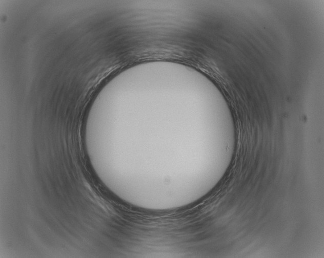 X0000062640360200601181750