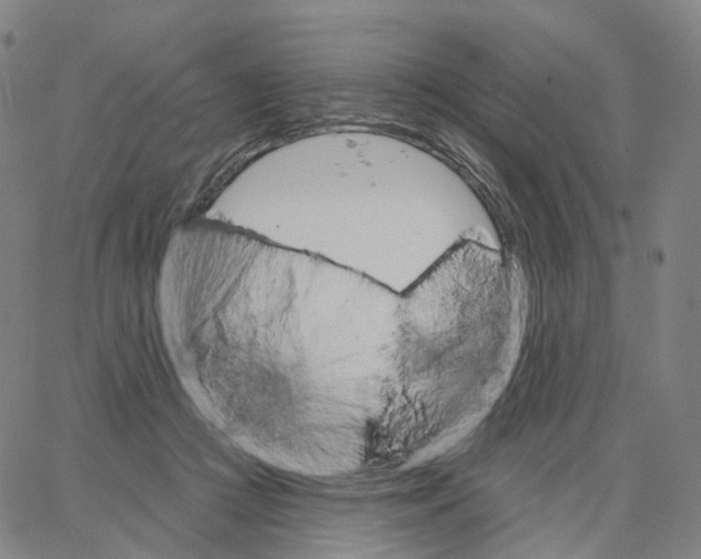 X0000062640361200601181750