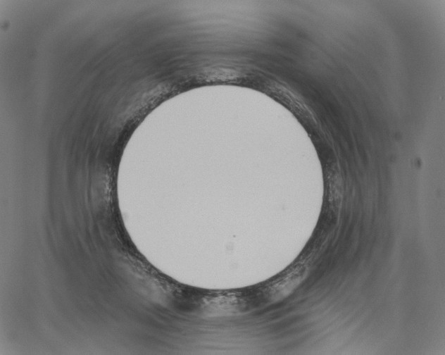 X0000062640362200601181750