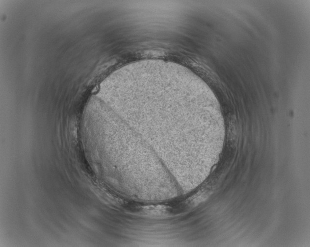 X0000062640363200601181750