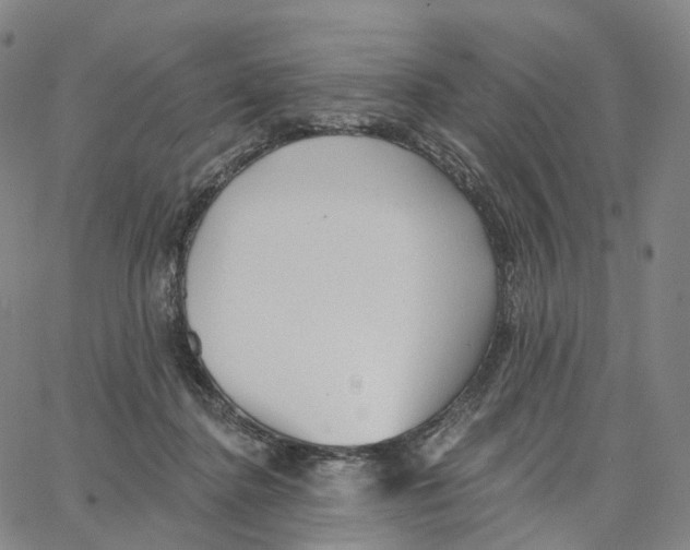 X0000062640364200601181750