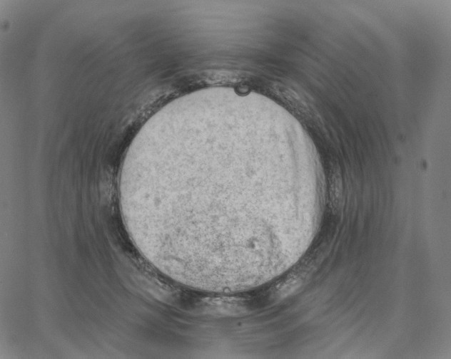 X0000062640367200601181751