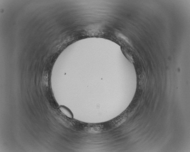 X0000062640368200601181751