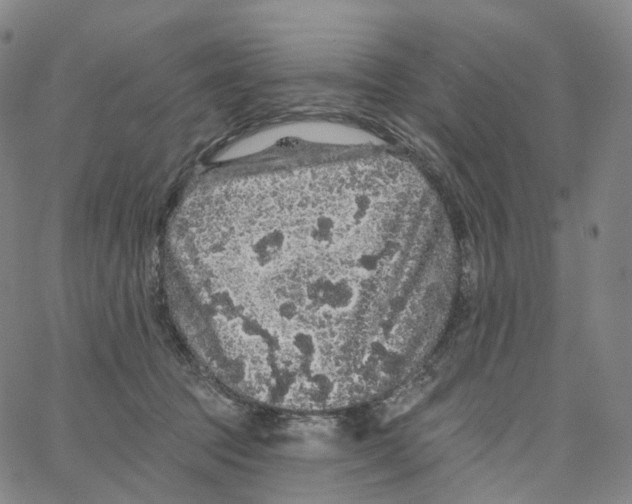 X0000062640369200601181751