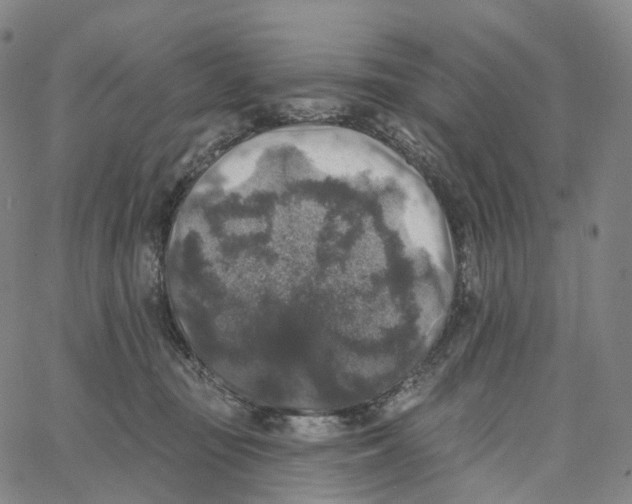 X0000062640371200601181751