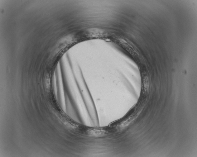 X0000062640372200601181751