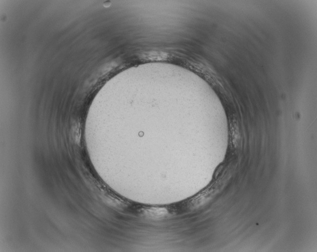 X0000062640374200601181751