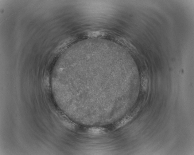 X0000062640375200601181751