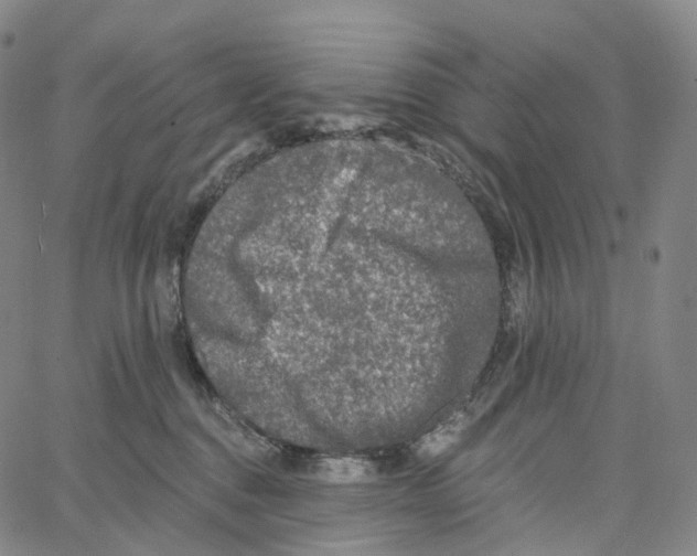 X0000062640376200601181751