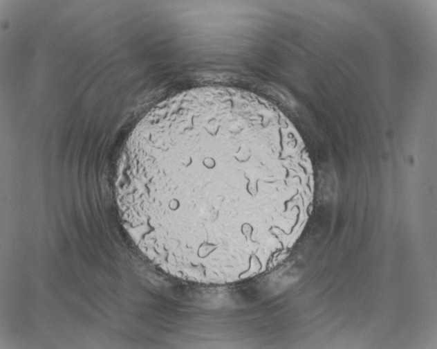 X0000062640377200601181751