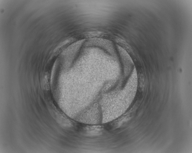 X0000062640378200601181751