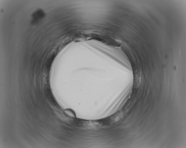 X0000062640379200601181751