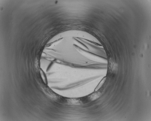 X0000062640380200601181751