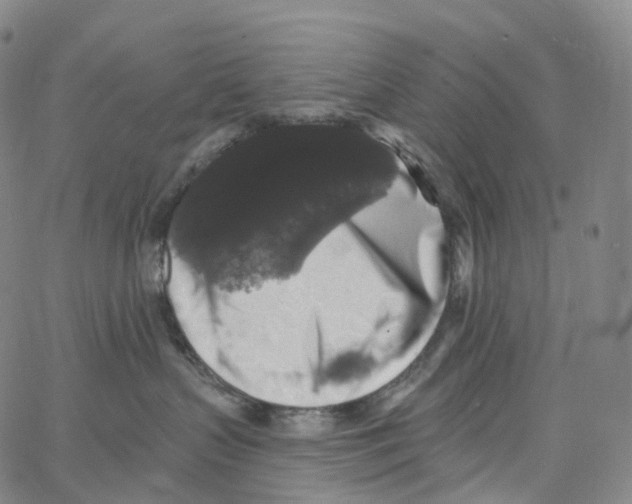 X0000062640383200601181751