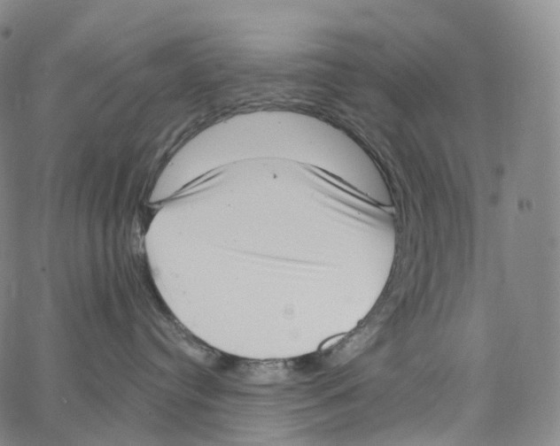 X0000062640384200601181751