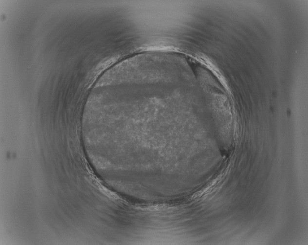 X0000062640385200601181750