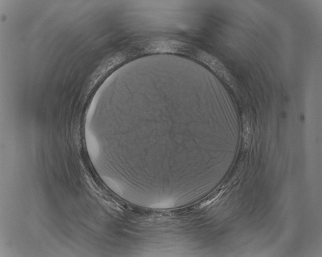 X0000062640386200601181750