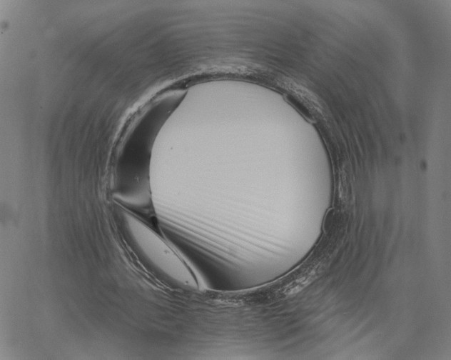 X0000062640388200601181750