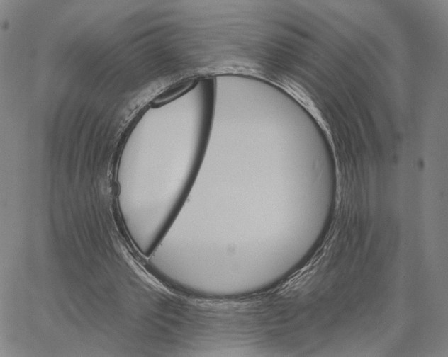 X0000062640389200601181750