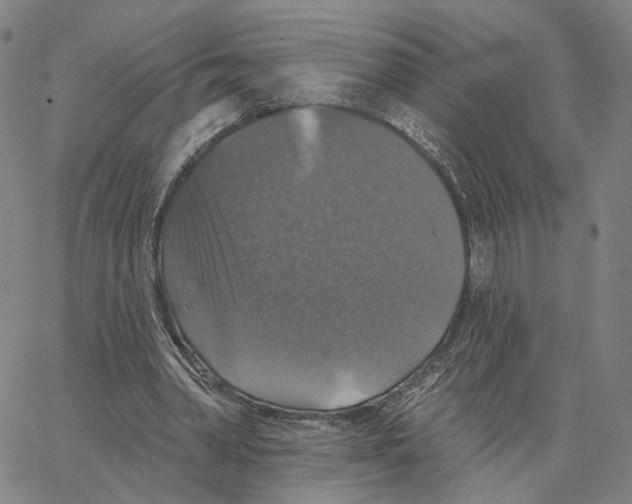 X0000062640390200601181750