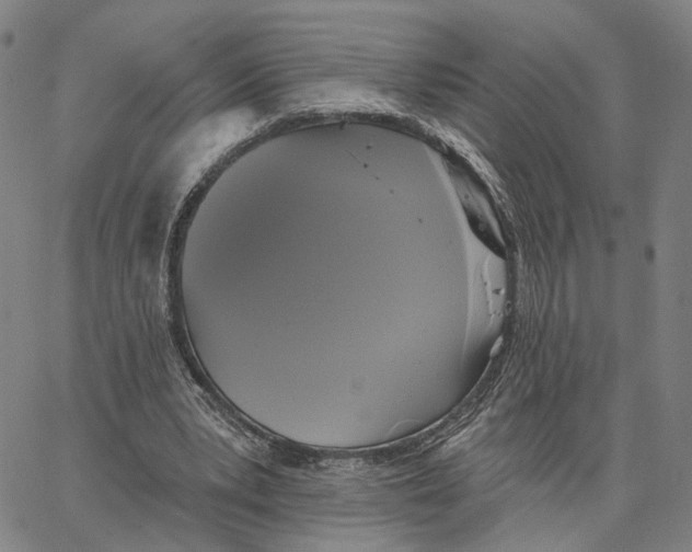 X0000062640391200601181750