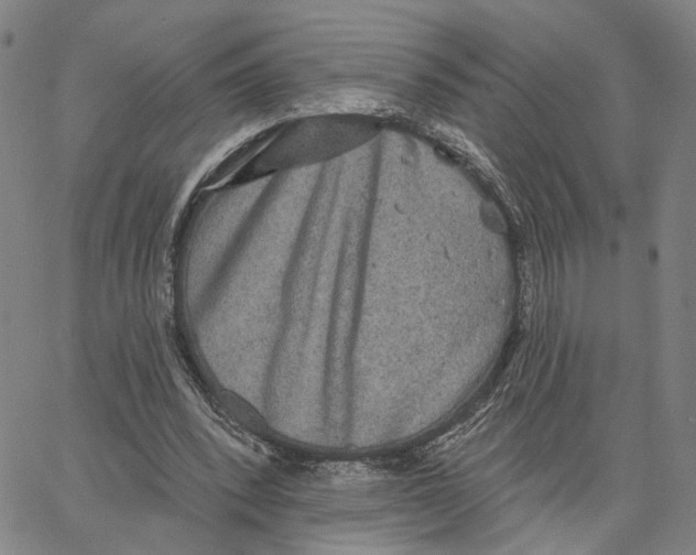 X0000062640392200601181750