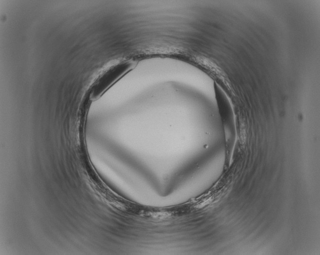 X0000062640395200601181750