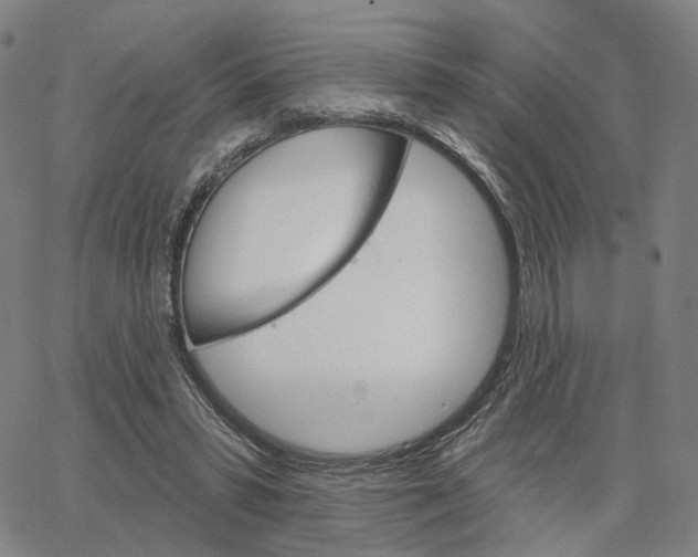 X0000062640399200601181750