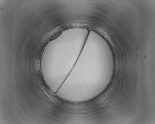 X0000062640401200601181750