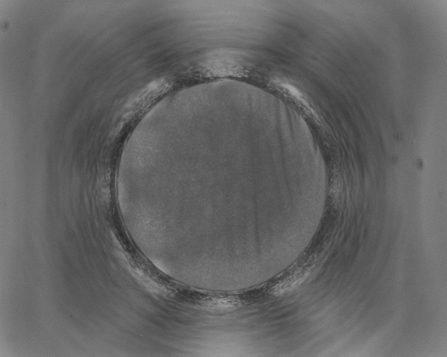 X0000062640402200601181750