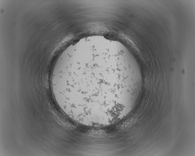 X0000062640403200601181750