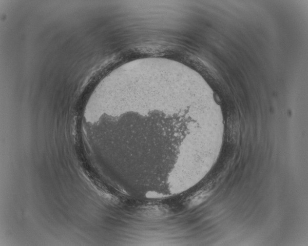 X0000062640404200601181750